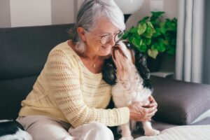 Older woman with silver hair, glasses, and a yellow sweater being kissed on the cheek by a spaniel.